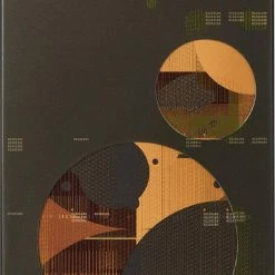 Escentric Molecules - Eau De Toilette - Molecule 01 + Patchouli - 100 Ml 15 Escentric Molecules - Eau De Toilette - Molecule 01 + Patchouli - 100 Ml -Givenchy-winkel 504x840 1