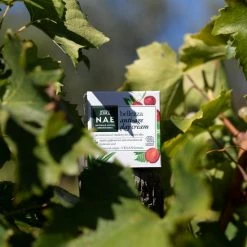 N.A.E. Naturale Antica Erborista N.A.E. Belezza Anti-age Dagcreme Vegan 50ml -Givenchy-winkel 550x550 514