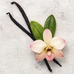 Disney Frozen Frozen Ll - Geurset - Parfum 50ml + Douche Gel 100ml - Cadeautip! -Givenchy-winkel 550x550 731